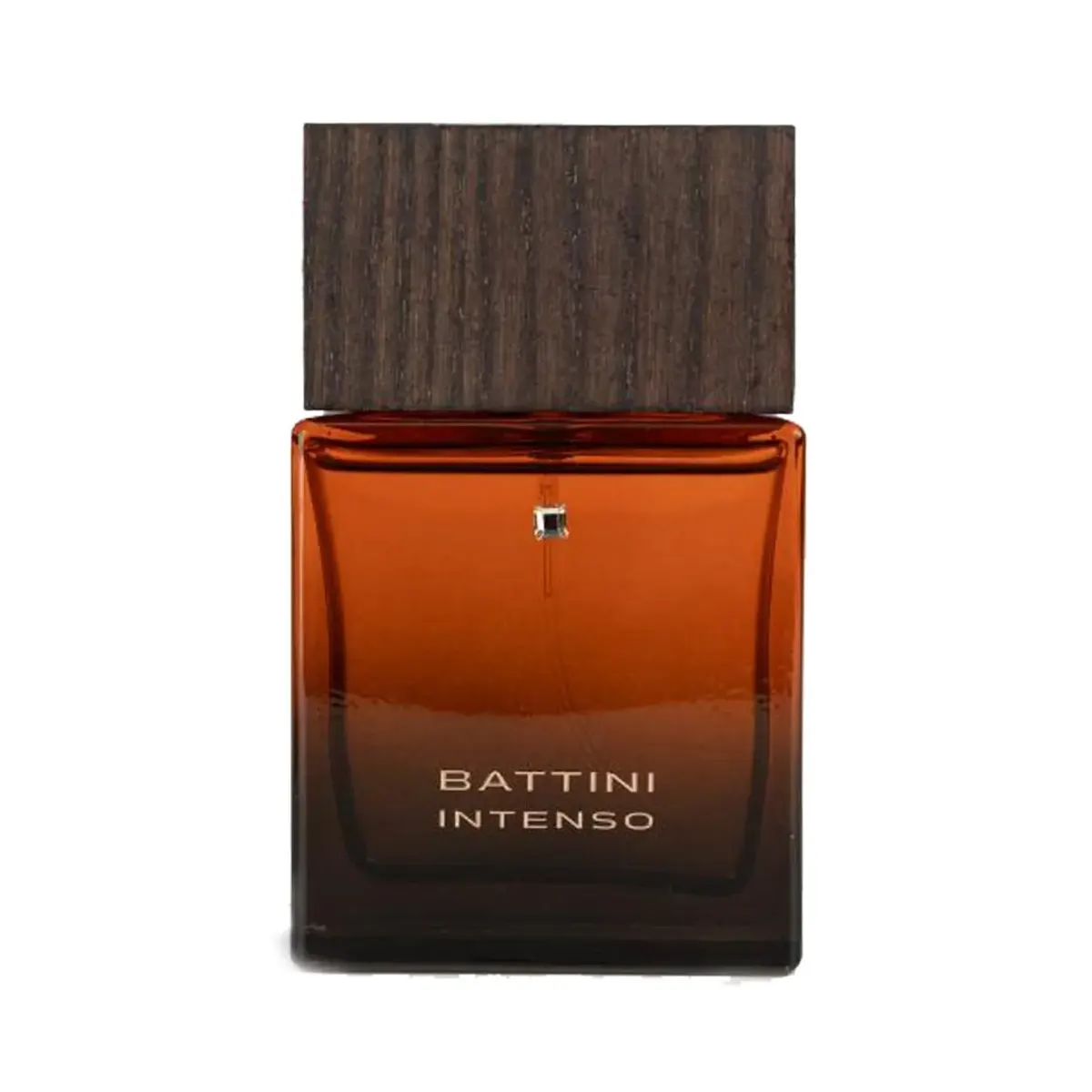 Jacques Battini Intenso EDP Men 100 ml Jacques Battini Intenso EDP Men 100 ml